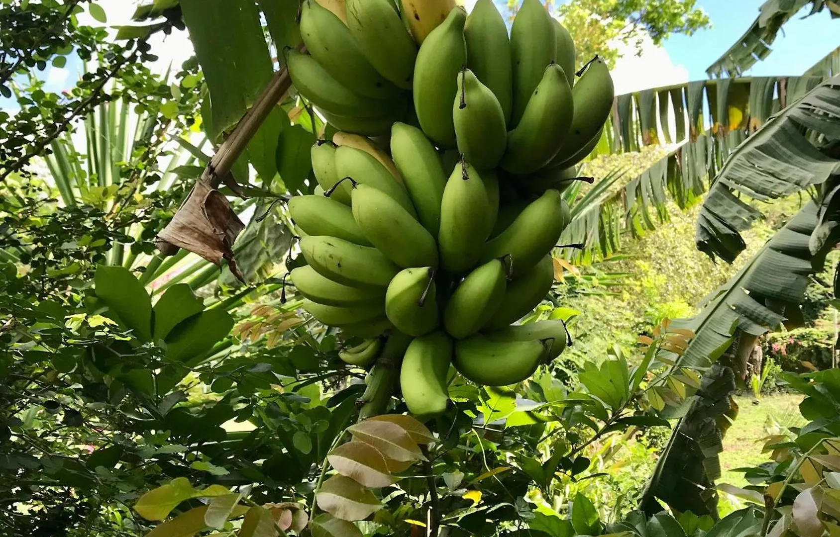 Appartamento Antigua Blue Liberta Antigua e Barbuda